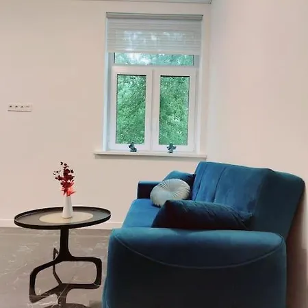 Stilingi Apartamentai Miesto Centre *